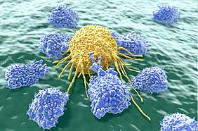 T-cell receptor immunotherapies against cancer