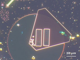Mikroskopie-Aufnahme eines Antennen-Arrays
